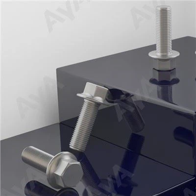 Stainless Steel Flange Head Bolts